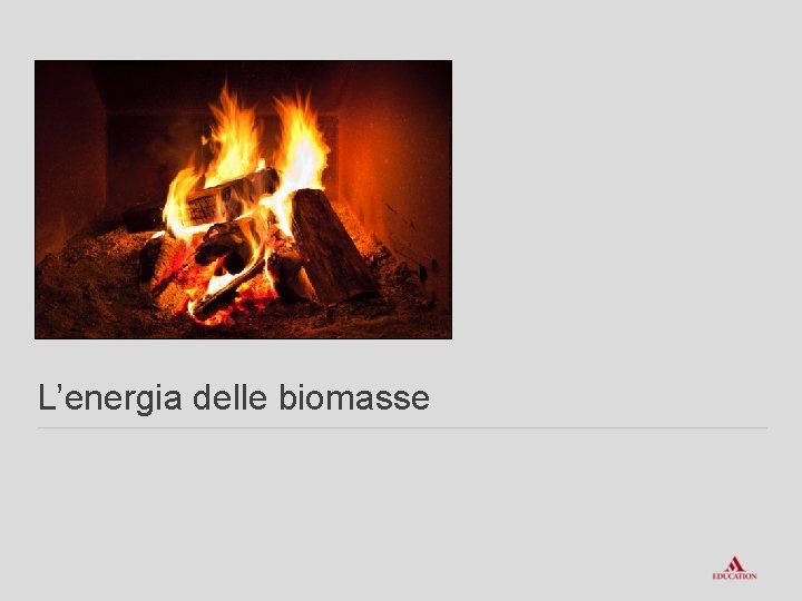 L’energia delle biomasse 