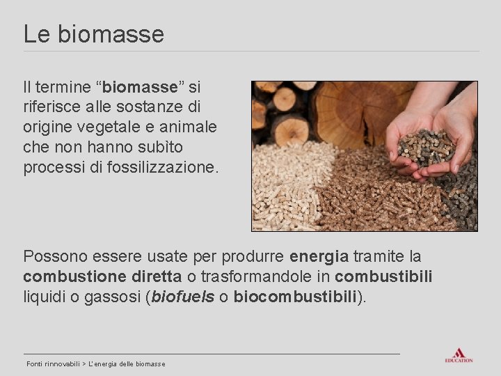 Le biomasse Il termine “biomasse” si riferisce alle sostanze di origine vegetale e animale