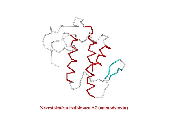 Nevrotoksična fosfolipaza A 2 (ammodytoxin) 