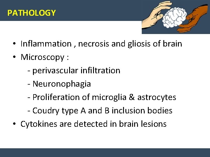 PATHOLOGY • Inflammation , necrosis and gliosis of brain • Microscopy : - perivascular