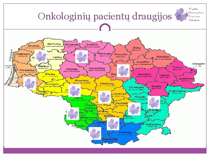 Onkologinių pacientų draugijos �“Salvia”; �“Eivena”; �“Viva Femina”; �. . . 