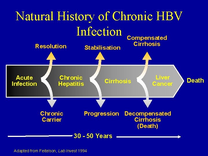 Natural History of Chronic HBV Infection Compensated Resolution Acute Infection Stabilisation Chronic Hepatitis Chronic