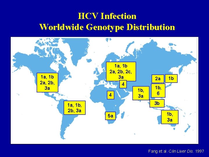 HCV Infection Worldwide Genotype Distribution 1 a, 1 b 2 a, 2 b, 2