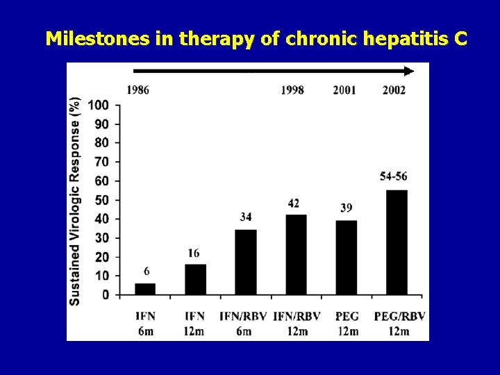 Milestones in therapy of chronic hepatitis C 