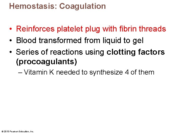 Hemostasis: Coagulation • Reinforces platelet plug with fibrin threads • Blood transformed from liquid