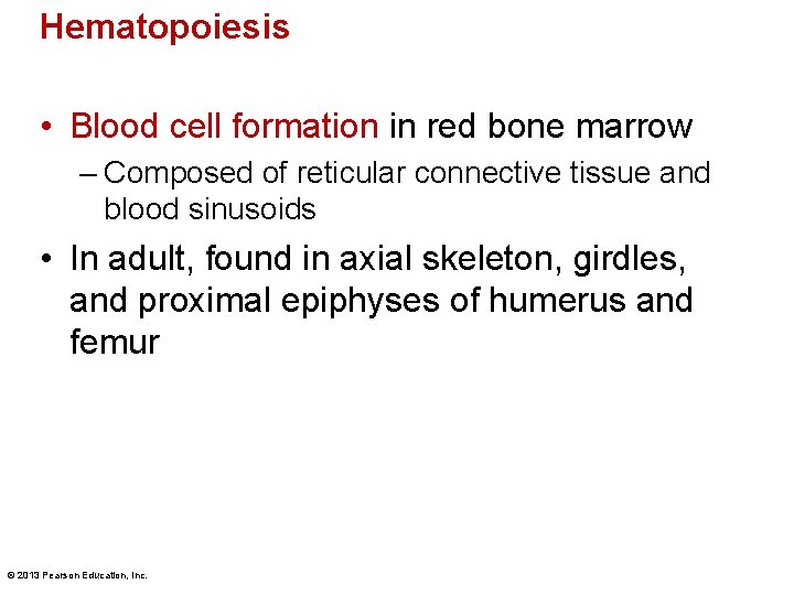 Hematopoiesis • Blood cell formation in red bone marrow – Composed of reticular connective