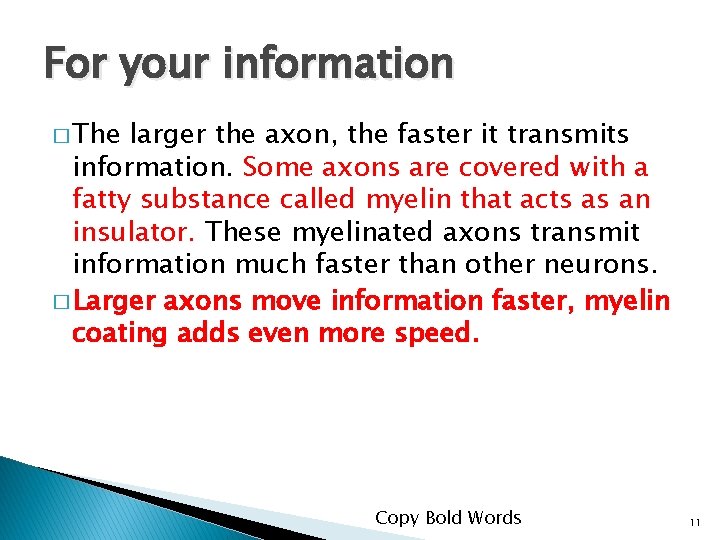 For your information � The larger the axon, the faster it transmits information. Some