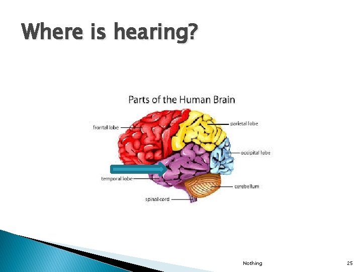 Where is hearing? Nothing 25 