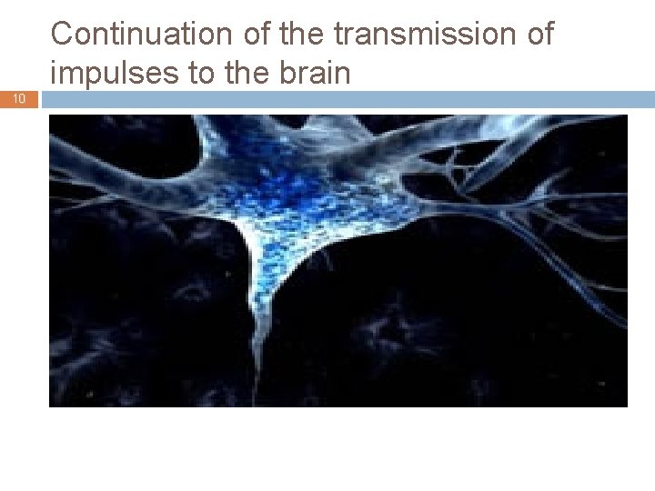 Continuation of the transmission of impulses to the brain 10 