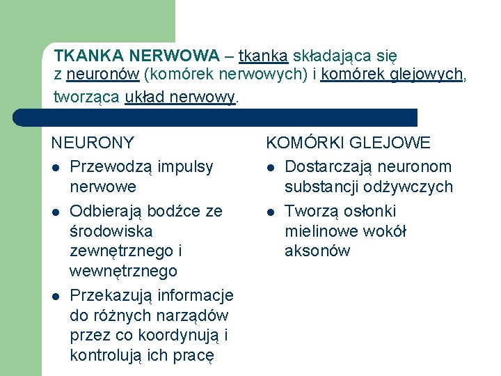 TKANKA NERWOWA – tkanka składająca się z neuronów (komórek nerwowych) i komórek glejowych, tworząca