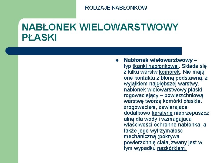 RODZAJE NABŁONKÓW NABŁONEK WIELOWARSTWOWY PŁASKI l Nabłonek wielowarstwowy – typ tkanki nabłonkowej. Składa się