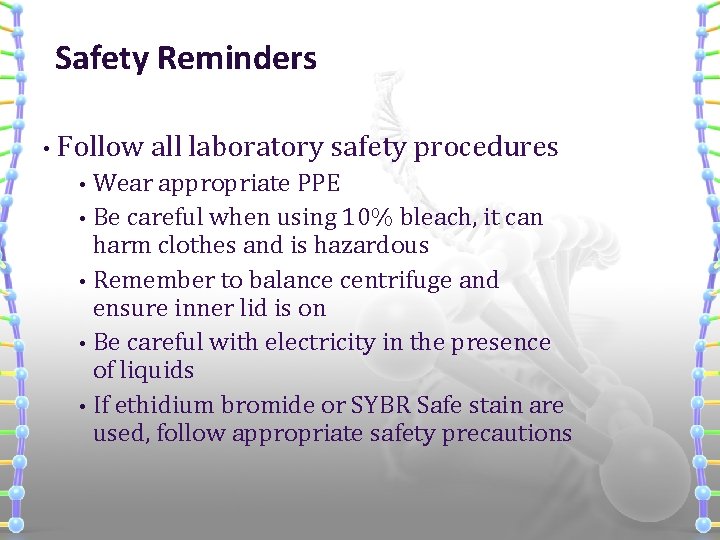 Safety Reminders • Follow all laboratory safety procedures Wear appropriate PPE • Be careful