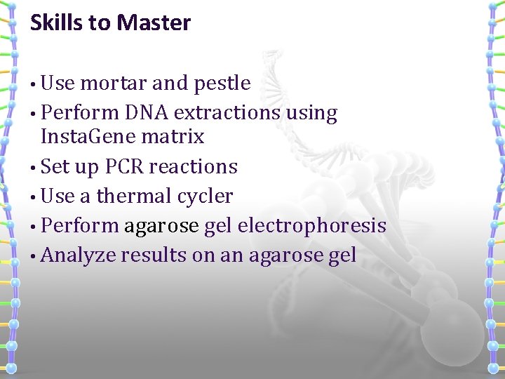 Skills to Master • Use mortar and pestle • Perform DNA extractions using Insta.