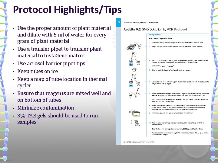 Protocol Highlights/Tips • • Use the proper amount of plant material and dilute with