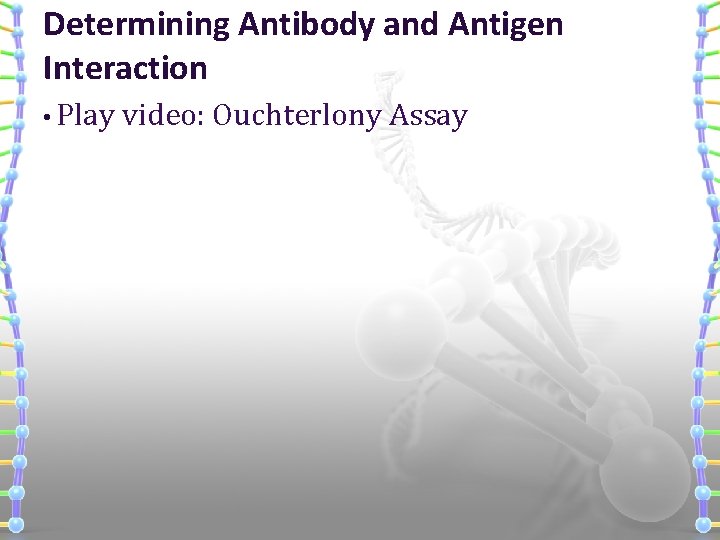 Determining Antibody and Antigen Interaction • Play video: Ouchterlony Assay 
