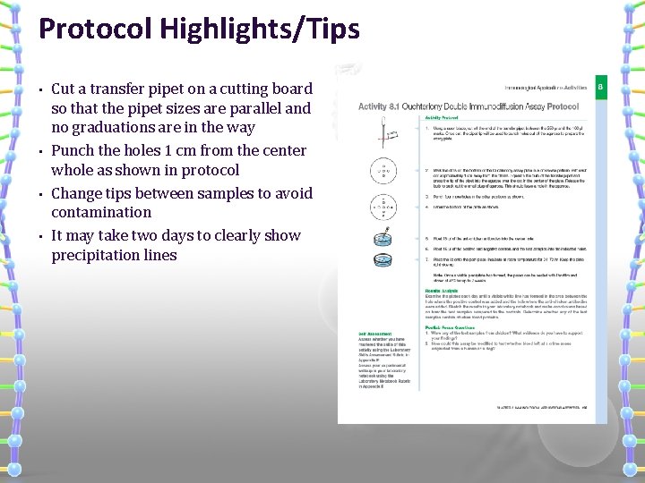 Protocol Highlights/Tips • • Cut a transfer pipet on a cutting board so that
