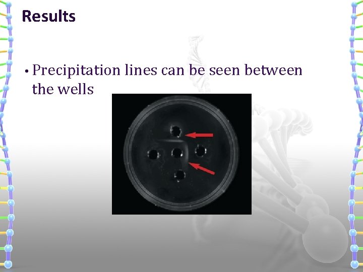 Results • Precipitation the wells lines can be seen between 