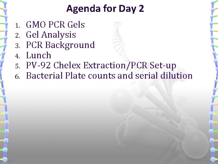 Agenda for Day 2 1. 2. 3. 4. 5. 6. GMO PCR Gels Gel