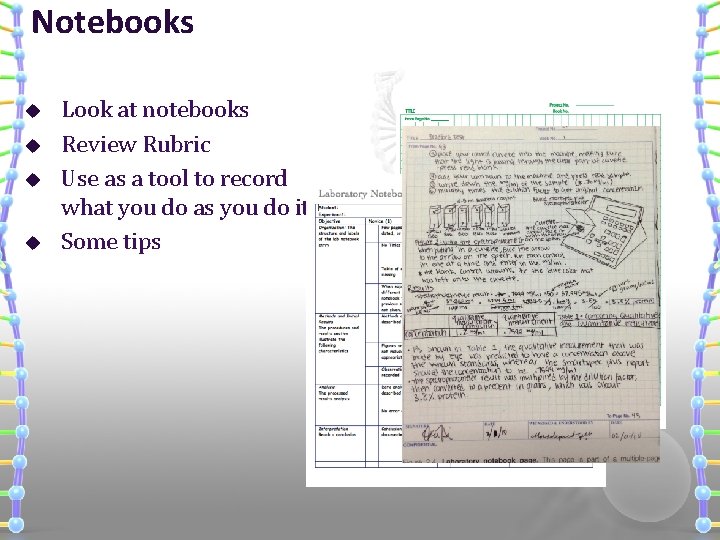 Notebooks u u Look at notebooks Review Rubric Use as a tool to record