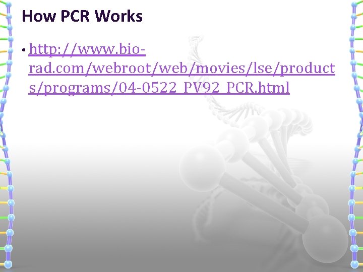 How PCR Works • http: //www. bio- rad. com/webroot/web/movies/lse/product s/programs/04 -0522_PV 92_PCR. html 