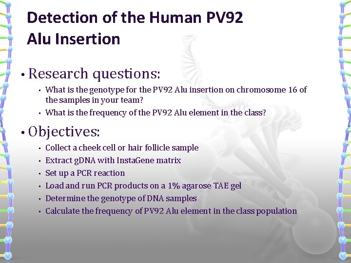 Detection of the Human PV 92 Alu Insertion • Research • • questions: What