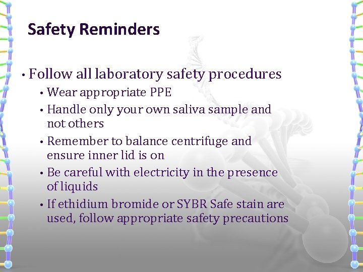 Safety Reminders • Follow all laboratory safety procedures Wear appropriate PPE • Handle only