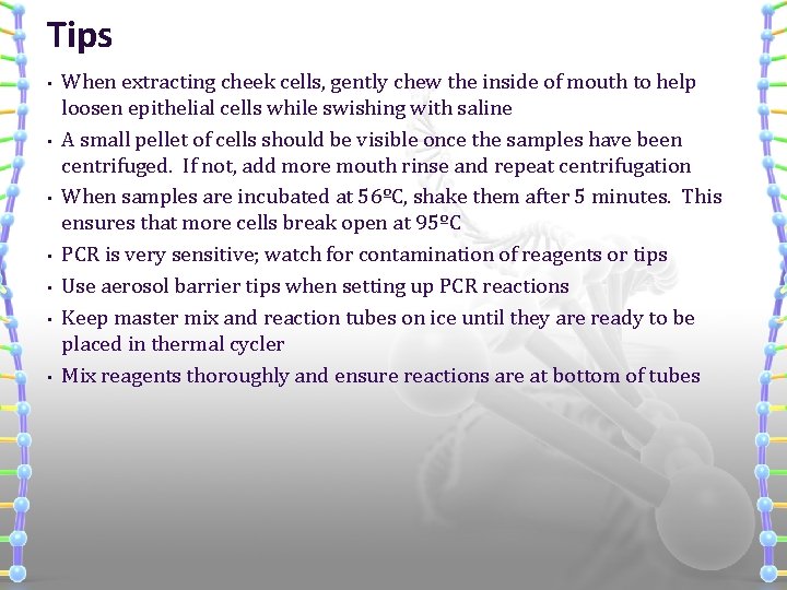 Tips • • When extracting cheek cells, gently chew the inside of mouth to