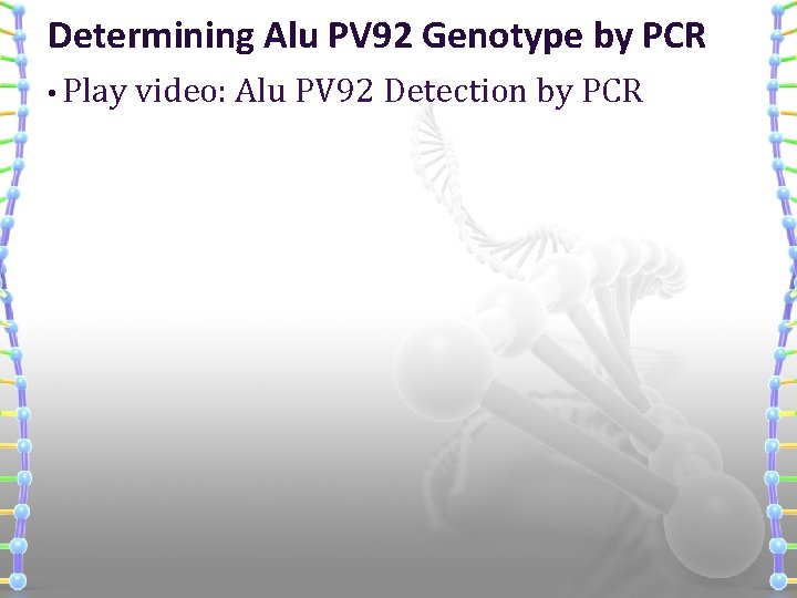 Determining Alu PV 92 Genotype by PCR • Play video: Alu PV 92 Detection