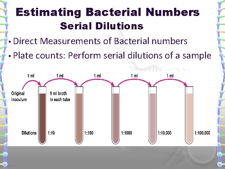 Estimating Bacterial Numbers Serial Dilutions • Direct Measurements of Bacterial numbers • Plate counts: