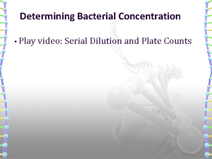 Determining Bacterial Concentration • Play video: Serial Dilution and Plate Counts 