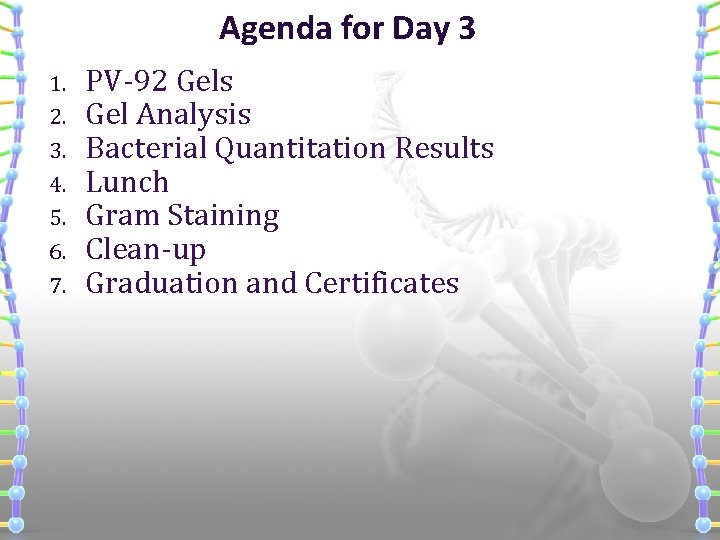 Agenda for Day 3 1. 2. 3. 4. 5. 6. 7. PV-92 Gels Gel