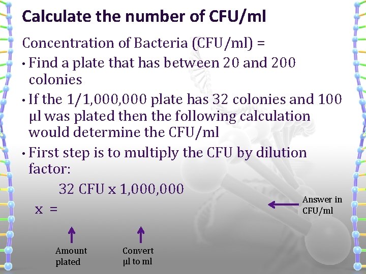 Calculate the number of CFU/ml Concentration of Bacteria (CFU/ml) = • Find a plate