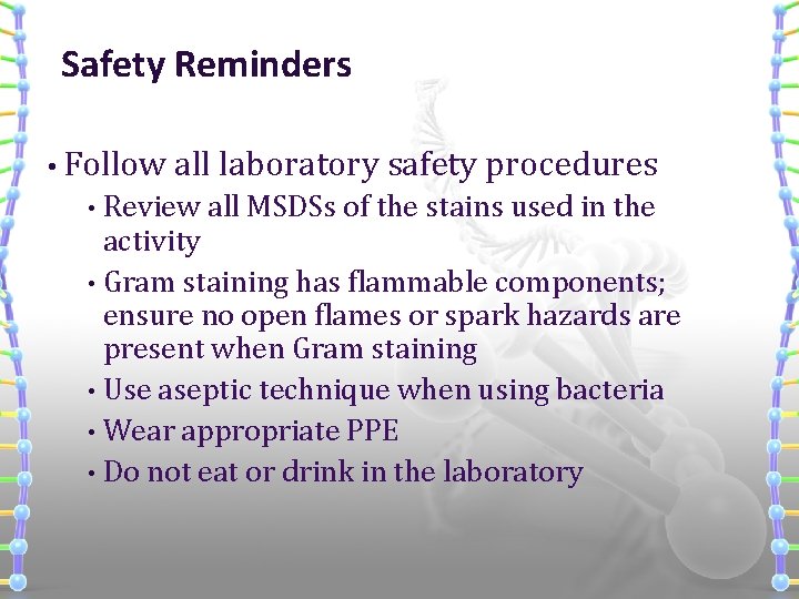 Safety Reminders • Follow all laboratory safety procedures Review all MSDSs of the stains