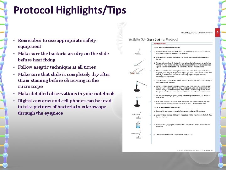 Protocol Highlights/Tips • • • Remember to use appropriate safety equipment Make sure the