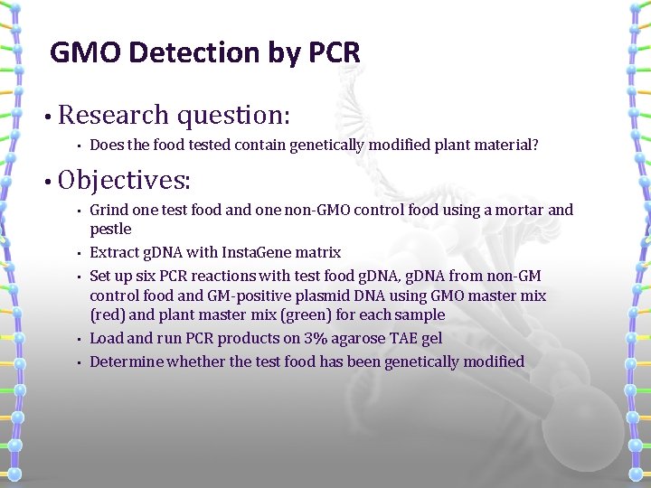 GMO Detection by PCR • Research • question: Does the food tested contain genetically