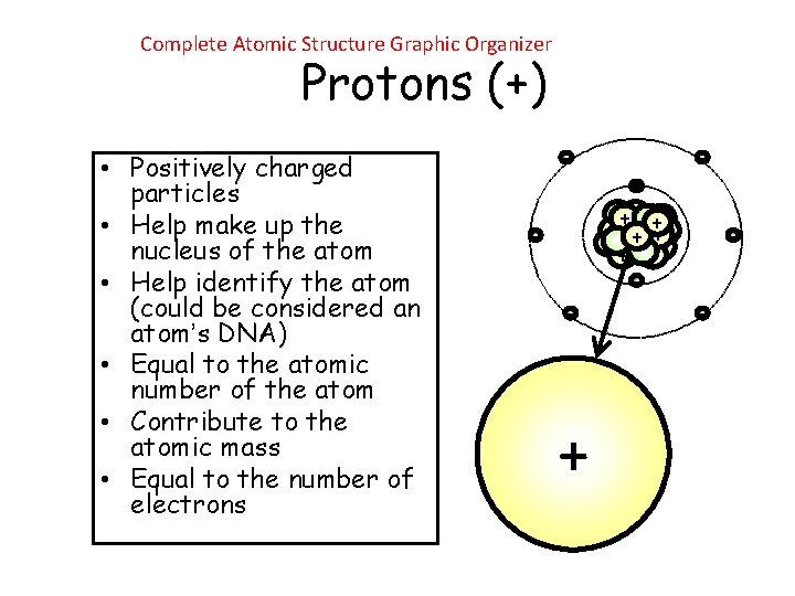 Complete Atomic Structure Graphic Organizer Protons (+) • Positively charged particles • Help make Complete Atomic Structure Graphic Organizer Protons (+) • Positively charged particles • Help make