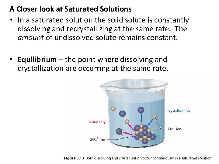 A Closer look at Saturated Solutions • In a saturated solution the solid solute