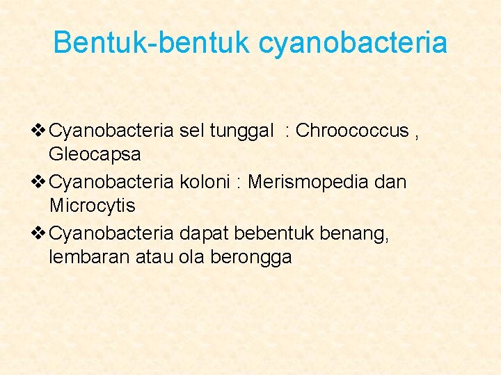 Bentuk-bentuk cyanobacteria v Cyanobacteria sel tunggal : Chroococcus , Gleocapsa v Cyanobacteria koloni :