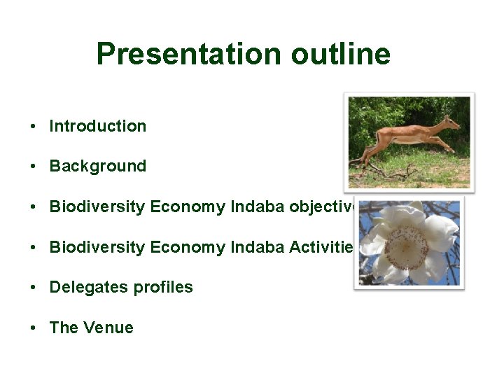 Presentation outline • Introduction • Background • Biodiversity Economy Indaba objectives • Biodiversity Economy