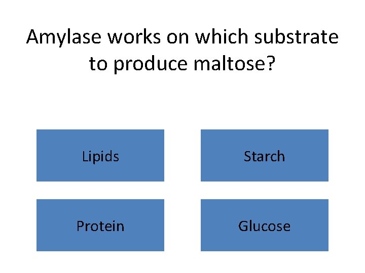 Amylase works on which substrate to produce maltose? Lipids Starch Protein Glucose 