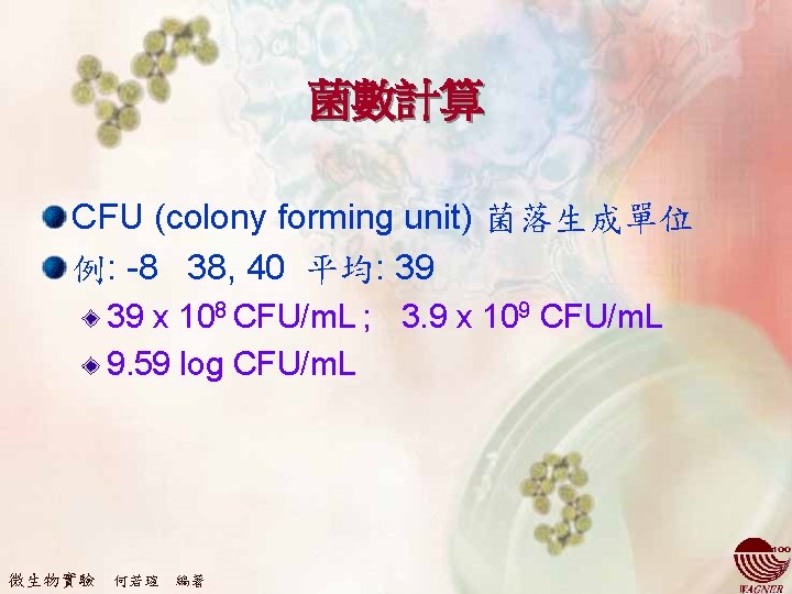 菌數計算 CFU (colony forming unit) 菌落生成單位 例: -8 38, 40 平均: 39 39 x