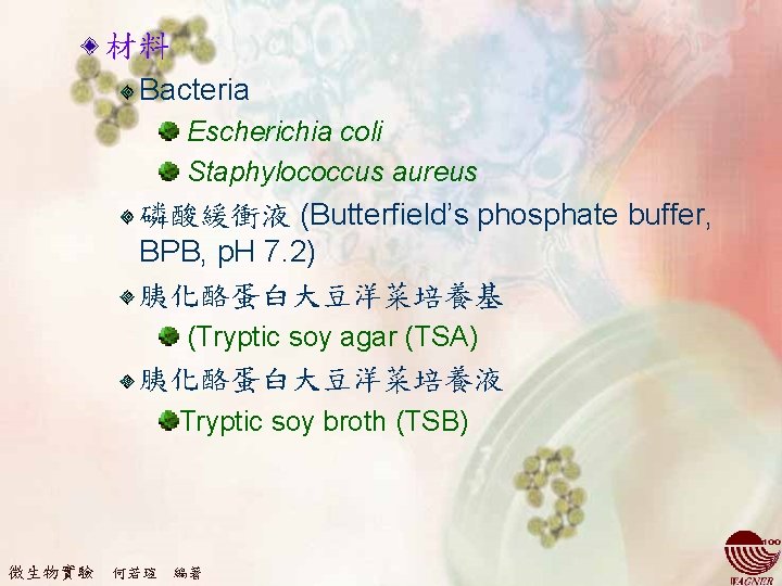 材料 Bacteria Escherichia coli Staphylococcus aureus 磷酸緩衝液 (Butterfield’s phosphate buffer, BPB, p. H 7.