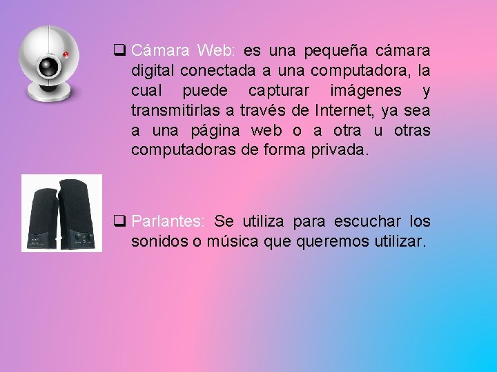 q Cámara Web: es una pequeña cámara digital conectada a una computadora, la cual