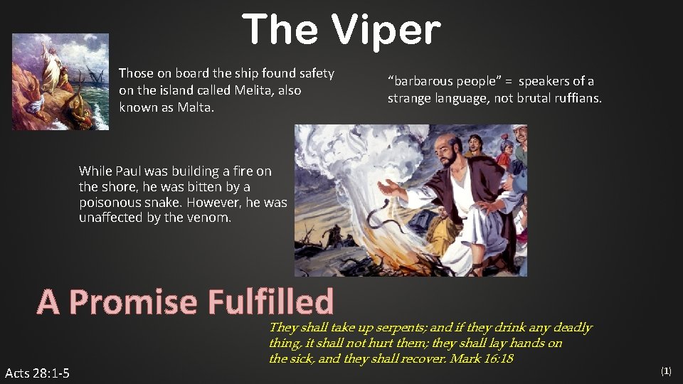 The Viper Those on board the ship found safety on the island called Melita,