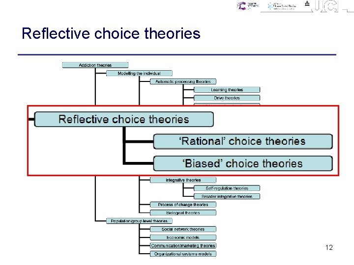 Reflective choice theories 12 