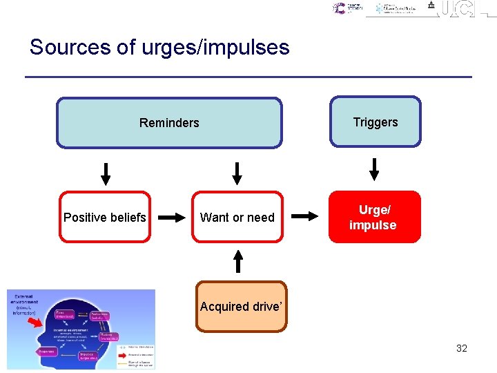 Sources of urges/impulses Triggers Reminders Positive beliefs Want or need Urge/ impulse Acquired drive’