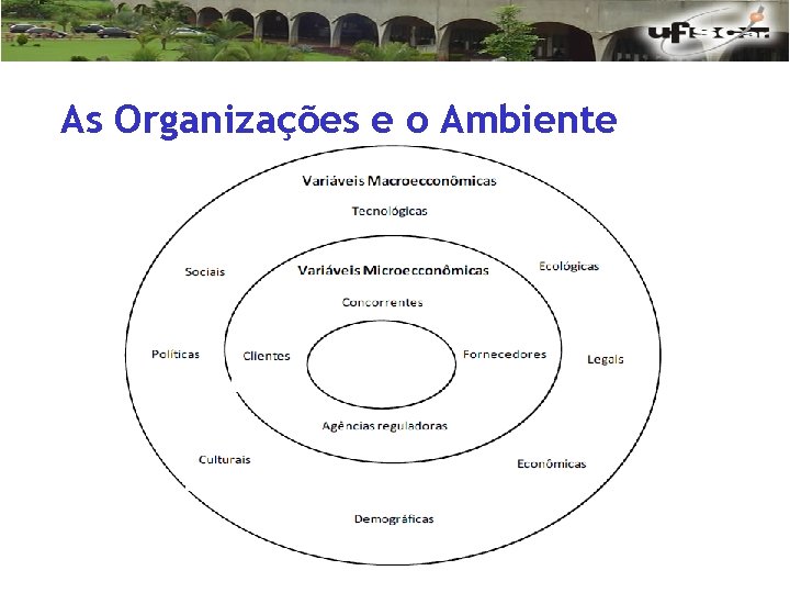 As Organizações e o Ambiente 