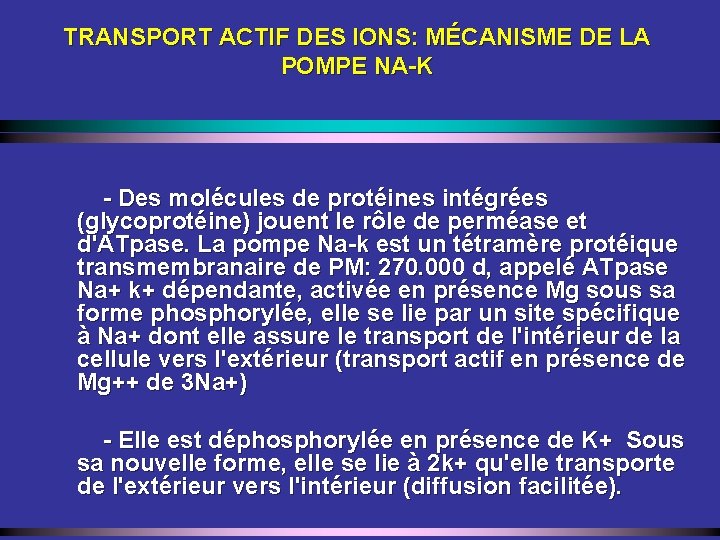 TRANSPORT ACTIF DES IONS: MÉCANISME DE LA POMPE NA-K - Des molécules de protéines