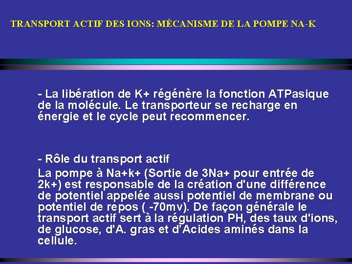 TRANSPORT ACTIF DES IONS: MÉCANISME DE LA POMPE NA-K - La libération de K+