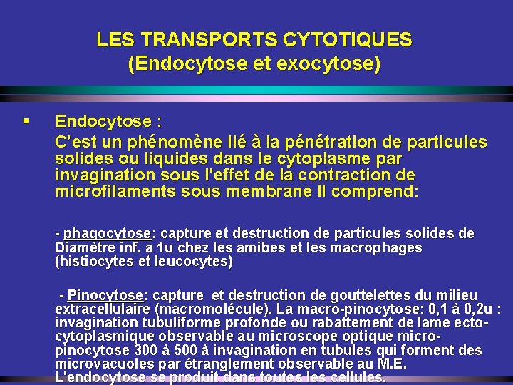LES TRANSPORTS CYTOTIQUES (Endocytose et exocytose) § Endocytose : C’est un phénomène lié à